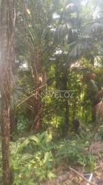Lote à venda Rio de Janeiro,RJ Santa Teresa - R$ 700.000 - CTLT00001