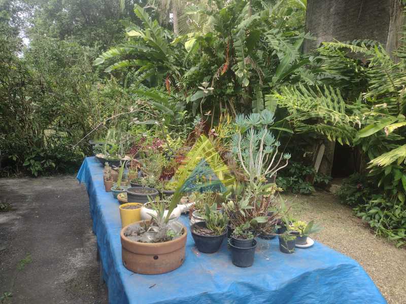 JARDINAGEM - 42