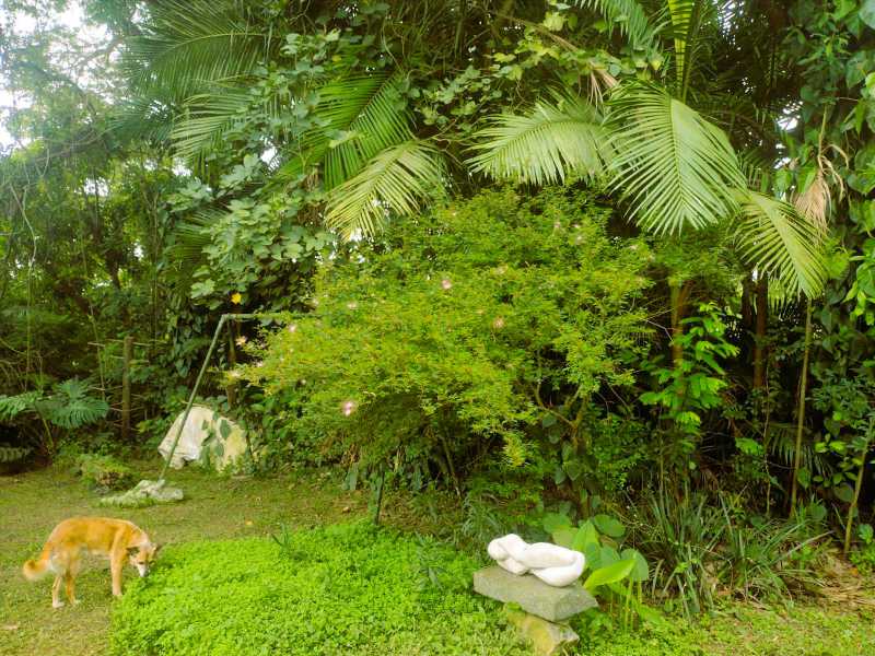 OPORTUNIDADE ÚNICA - Casa em Condomínio para venda e aluguel Rua das Camélias, Chácara Vale do Rio Cotia, Carapicuíba - R$ 1.750.000 - BTCN40003