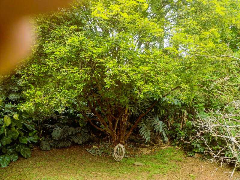 OPORTUNIDADE ÚNICA - Casa em Condomínio para venda e aluguel Rua das Camélias, Chácara Vale do Rio Cotia, Carapicuíba - R$ 1.750.000 - BTCN40003