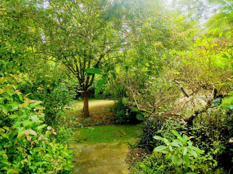 OPORTUNIDADE ÚNICA - Casa em Condomínio para venda e aluguel Rua das Camélias, Chácara Vale do Rio Cotia, Carapicuíba - R$ 1.750.000 - BTCN40003