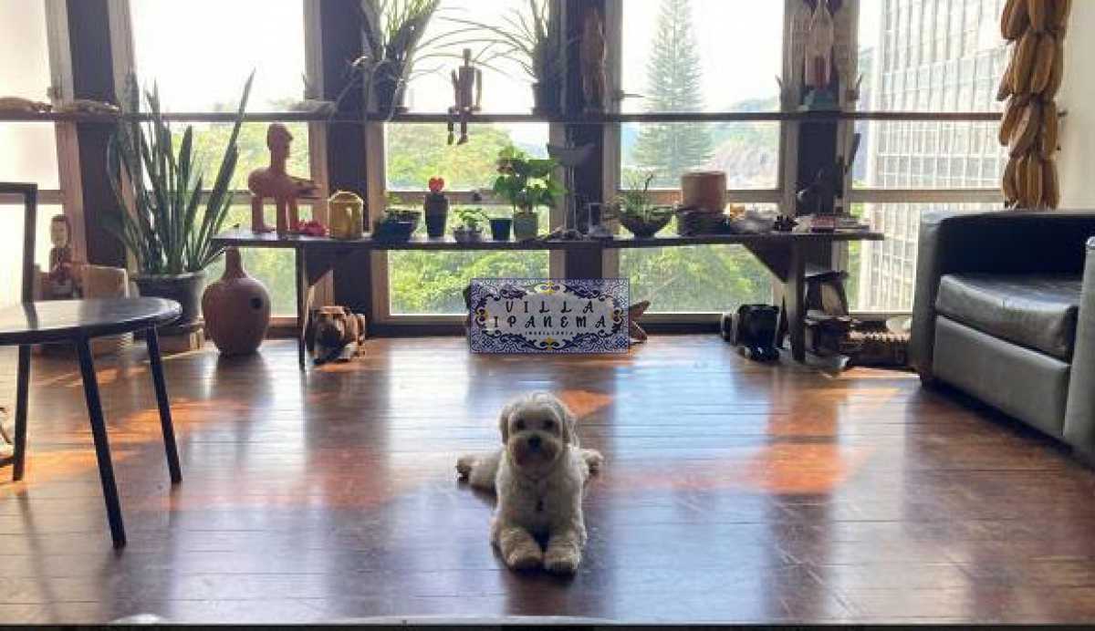 Conheça ba do imóvel - Apartamento à venda Praia de Botafogo, Botafogo, Rio de Janeiro - R$ 1.750.000 - IPA003972 - 8 ba - 8