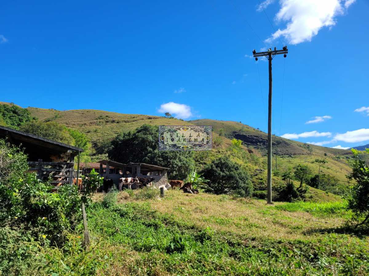 Conheça B 1. do imóvel - Sítio 1238400m² à venda Estrada da Embratel, Vera Cruz, Miguel Pereira - R$ 5.250.000 - IPA230125 - 3 B 1. - 3