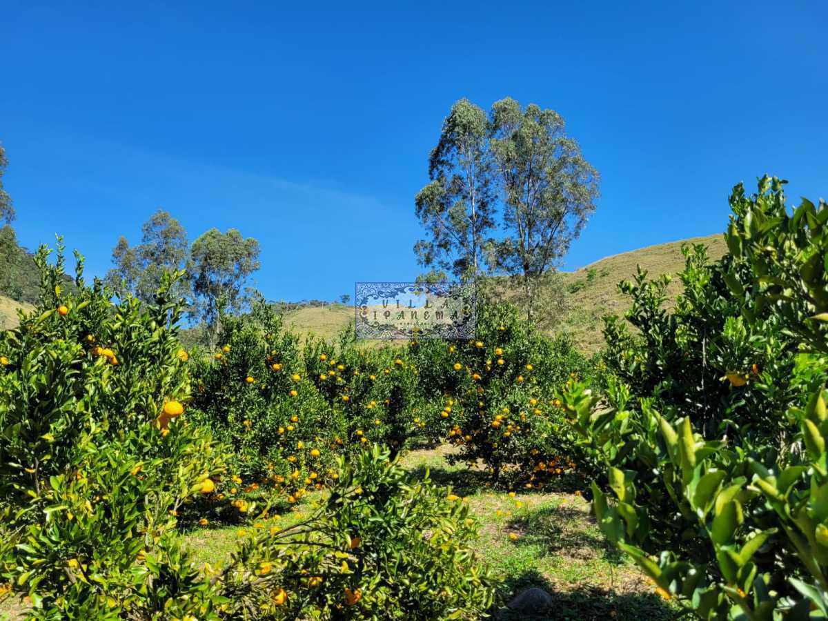 Conheça C 2. do imóvel - Sítio 1238400m² à venda Estrada da Embratel, Vera Cruz, Miguel Pereira - R$ 5.250.000 - IPA230125 - 7 C 2. - 7