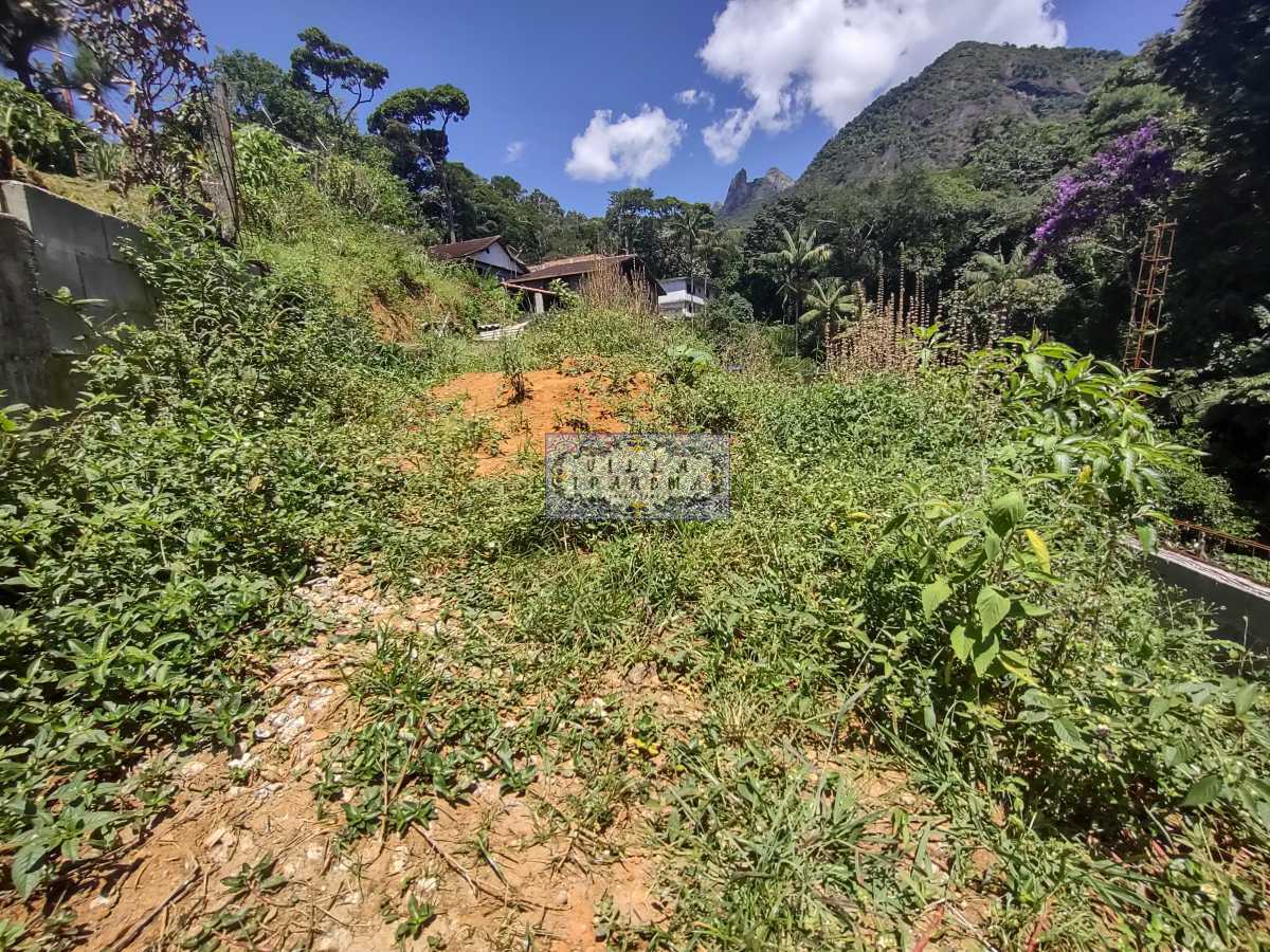 IMG_20220303_110603016_HDR - 5