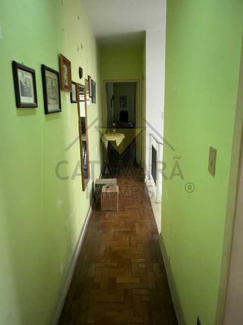 Conheça 810190e8-2329-43f8-9f6d-2f1449 do imóvel - Casa comercial para Venda no Centro, Mogi das Cruzes - SP. - MTCC20010 - 4 810190e8-2329-43f8-9f6d-2f1449 - 4
