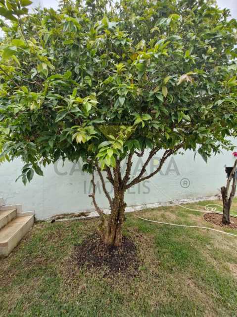 Conheça 4a8dfafc-e152-4493-bedf-c9accb do imóvel - Casa 2 quartos à venda Vila Lavínia, Mogi das Cruzes - R$ 875.000 - MTCA20256 - 25 4a8dfafc-e152-4493-bedf-c9accb - 25
