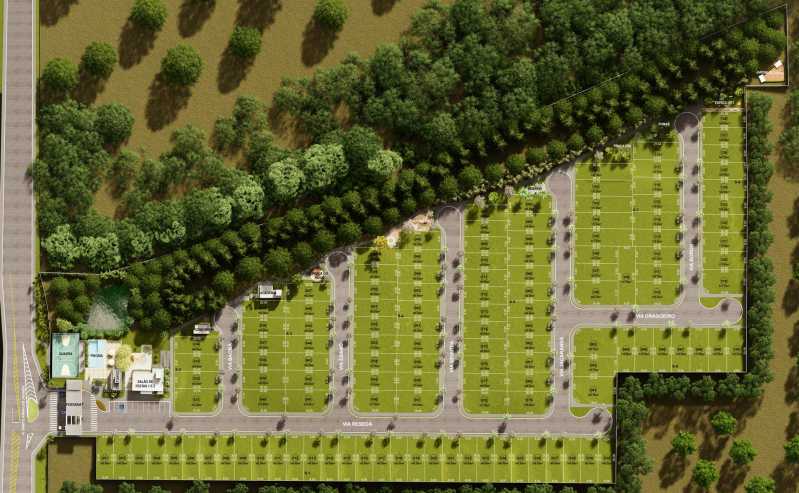 arbo-implantacao - 2