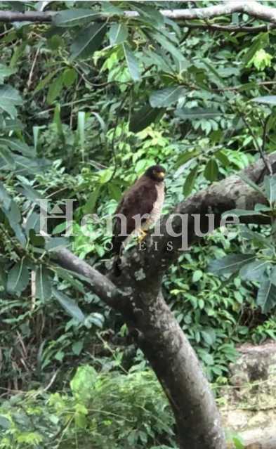 6fca28de-6075-4e03-84f7-c0314f - 17