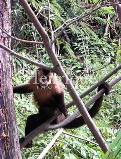 19846667-0526-441c-8d96-1c669b - 18