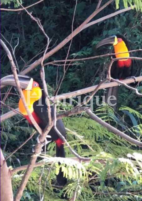 e7d438dc-364a-4b32-98c2-9728dc - 19