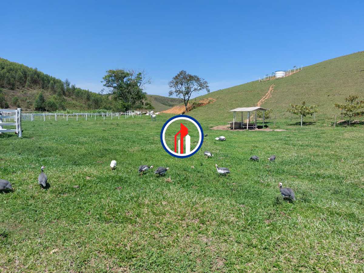 Conheça 346952a9-dfca-4d82-b221-77b9c4 do imóvel - ar puro e paz e lazer - NTFA00001 - 30 346952a9-dfca-4d82-b221-77b9c4 - 30