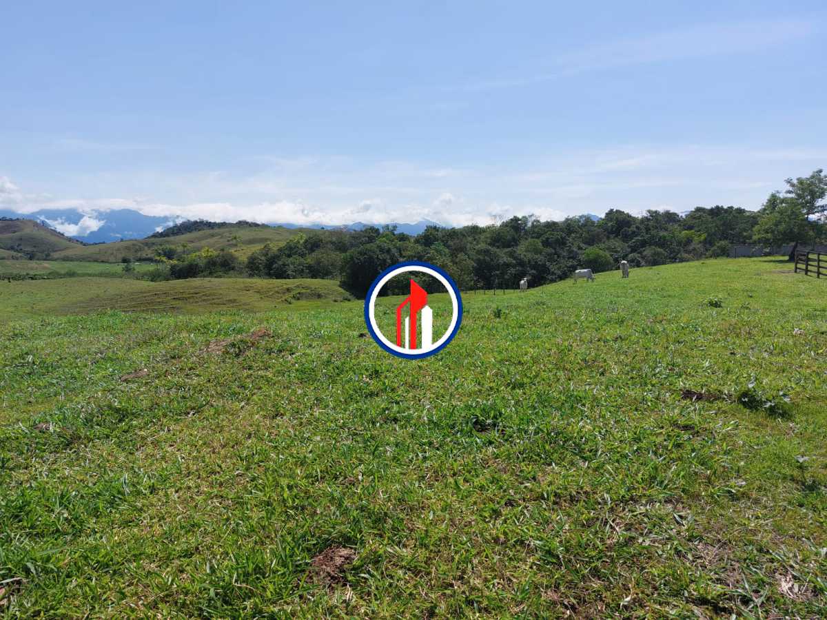 Conheça d5e09b46-0e2f-4d0a-8db2-5b62c3 do imóvel - ar puro e paz e lazer - NTFA00001 - 31 d5e09b46-0e2f-4d0a-8db2-5b62c3 - 31