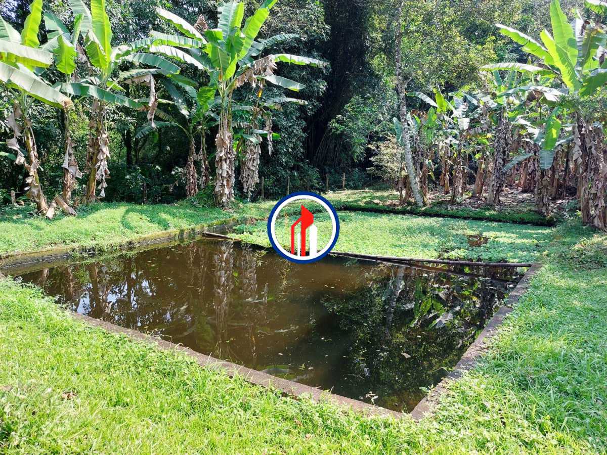 Conheça WhatsApp Image 2026-07-10 at 1 do imóvel - PISCINA DE ÁGUA NATURAL , UM RIACHO DENTRO DA PROPIEDADE , LAGO COM PEIXES - NTSI80001 - 29 WhatsApp Image 2026-07-10 at 1 - 29