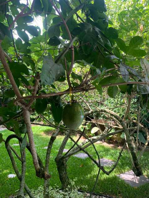 Ótima localização - Barra Condominio Novo Leblon casa 5 suites 100% mobiliada - BTCN50006