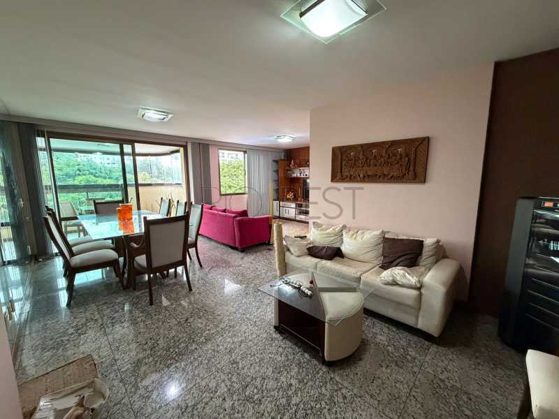 WhatsApp Image 2026-02-09 at 1 - 7