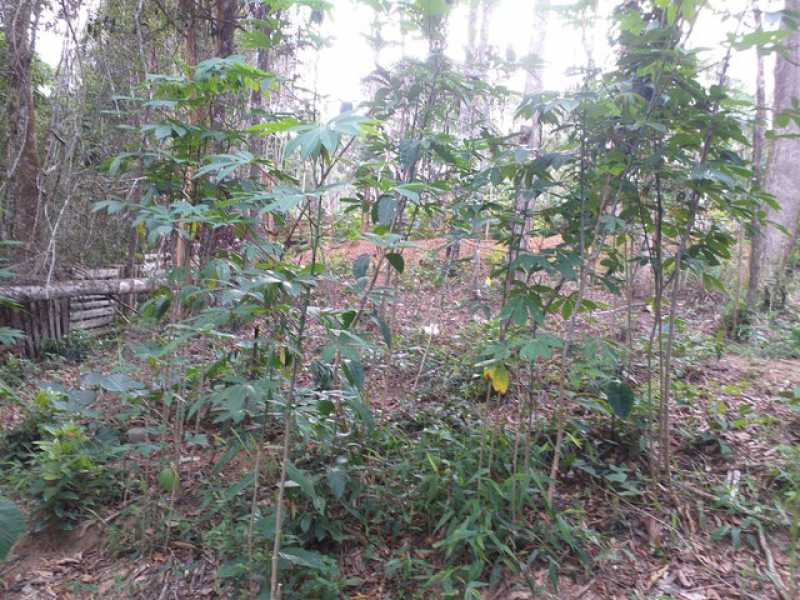 Conheça 918258271838102 do imóvel - Chácara 40m² à venda Cézar de Souza, Mogi das Cruzes - R$ 120.000 - BICH10001 - 17 918258271838102 - 17