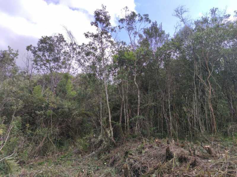 Conheça 238270646279218 do imóvel - Lote à venda Quatinga, Mogi das Cruzes - R$ 120.000 - BILT00188 - 2 238270646279218 - 2
