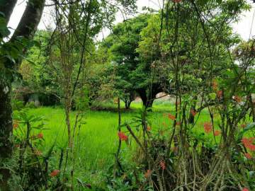 Imperdível - Lote à venda Chácara Guanabara, Mogi das Cruzes - R$ 80.000 - BILT00191