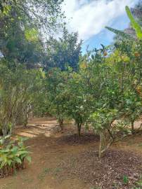 Chácara à venda Parque São Martinho, Mogi das Cruzes - R$ 480.000 - BICH10002