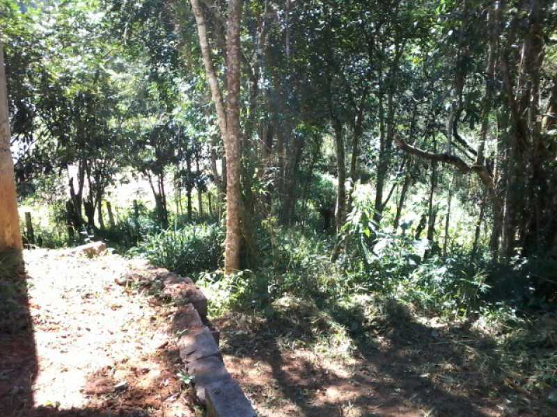 Conheça 365251836781109 do imóvel - Sítio 43900m² à venda Salesopolis, Mogi das Cruzes - R$ 80.000 - BISI00010 - 10 365251836781109 - 10