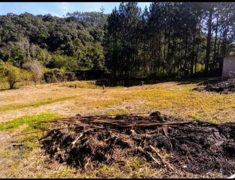 Conheça 180274109362269 do imóvel - Chácara 12500m² à venda Cézar de Souza, Mogi das Cruzes - R$ 380.000 - BICH00021 - 6 180274109362269 - 6