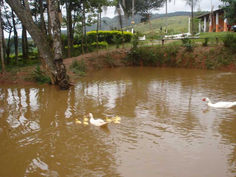 Conheça 6fae7e4b-b042-4c3e-a71a-6400a3 do imóvel - Sítio 24311m² à venda Parque Residencial Itapeti, Mogi das Cruzes - R$ 870.000 - BISI00011 - 12 6fae7e4b-b042-4c3e-a71a-6400a3 - 12