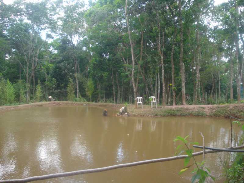 Conheça b65b1cef-cef2-40c3-b229-a68bc9 do imóvel - Sítio 24311m² à venda Parque Residencial Itapeti, Mogi das Cruzes - R$ 870.000 - BISI00011 - 27 b65b1cef-cef2-40c3-b229-a68bc9 - 27