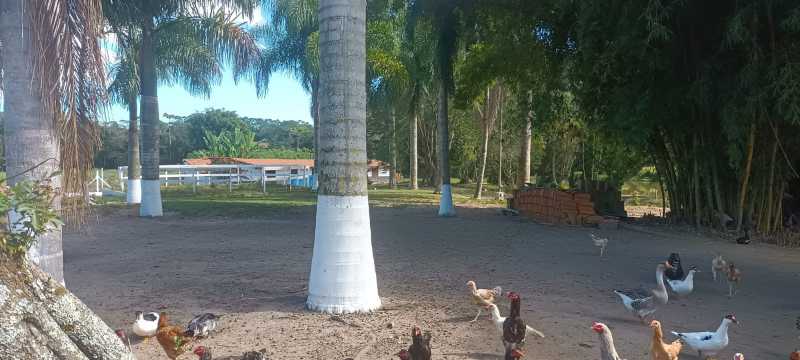 Conheça 21c96a30-1786-4b0c-b4dc-0bc173 do imóvel - Sítio 24200m² à venda Rio Acima, Biritiba-Mirim - R$ 2.500.000 - BISI30008 - 15 21c96a30-1786-4b0c-b4dc-0bc173 - 15