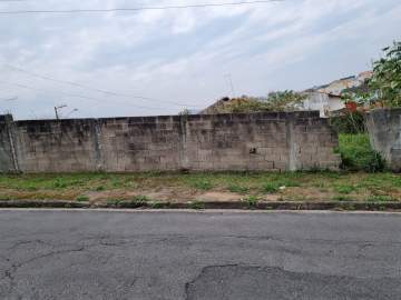 LINDO LOTE - BILT00293