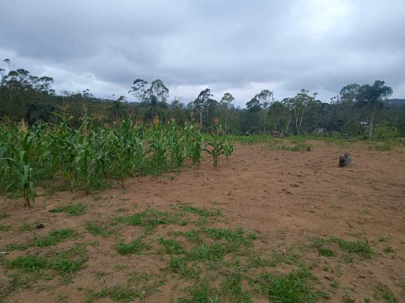 Conheça 94c9b175-432f-4592-b85d-939986 do imóvel - Lote à venda Taiacupeba, Mogi das Cruzes - R$ 500.000 - BILT00295 - 4 94c9b175-432f-4592-b85d-939986 - 4