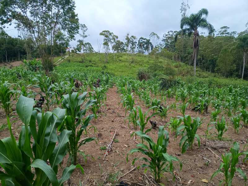 Conheça ef6feeb0-6226-4f3f-87f1-5c61f3 do imóvel - Lote à venda Taiacupeba, Mogi das Cruzes - R$ 500.000 - BILT00295 - 8 ef6feeb0-6226-4f3f-87f1-5c61f3 - 8