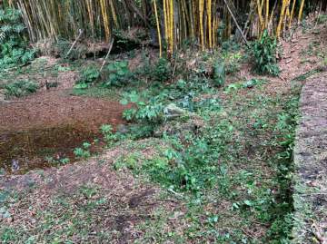 Chácara 1580m² à venda Vila Caputera, Mogi das Cruzes - R$ 650.000 - BICH00001