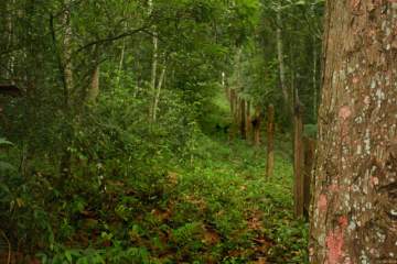 Chácara 13000m² à venda Taiacupeba, Mogi das Cruzes - R$ 986.000 - BICH00002