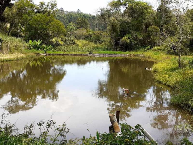 Conheça 255170033997998 do imóvel - Sítio à venda Taiacupeba, Mogi das Cruzes - R$ 800.000 - BISI10001 - 11 255170033997998 - 11