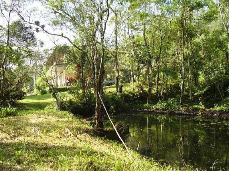Conheça 325129583577087 do imóvel - Sítio 49859m² à venda Vila Moraes, Mogi das Cruzes - R$ 2.000.000 - BISI00004 - 13 325129583577087 - 13