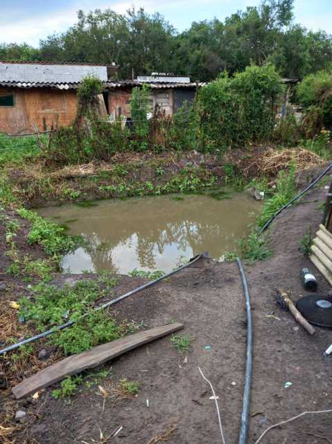 734116956989068 - 5