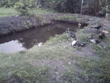 Imperdível - Chácara 2000m² à venda Jundiapeba, Mogi das Cruzes - R$ 190.000 - BICH00010