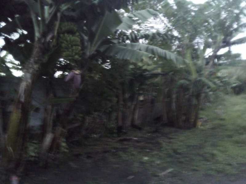Conheça 488234493720863 do imóvel - Chácara 2000m² à venda Jundiapeba, Mogi das Cruzes - R$ 190.000 - BICH00010 - 3 488234493720863 - 3
