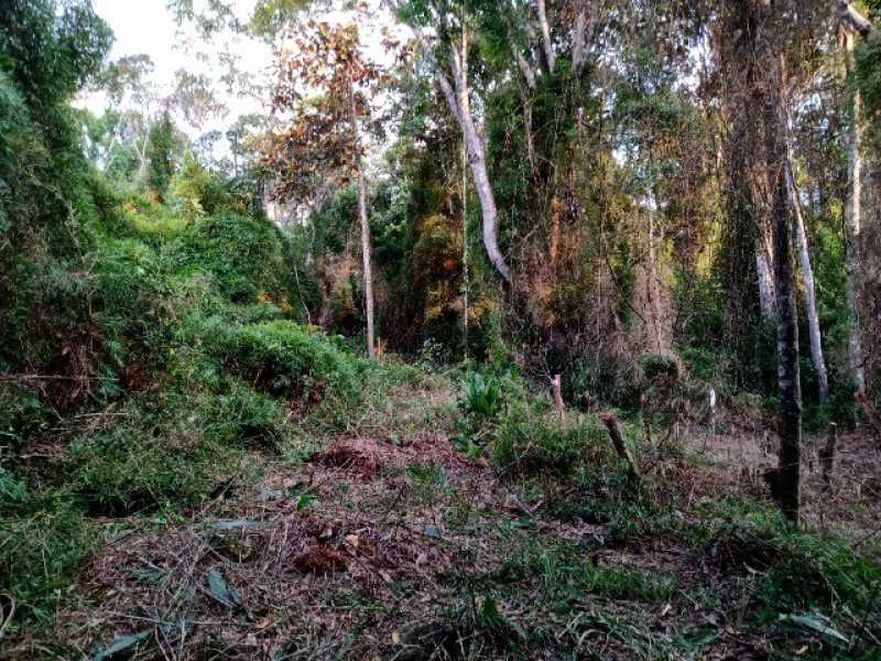 Conheça 631252864021228 do imóvel - Lote à venda Quatinga, Mogi das Cruzes - R$ 75.000 - BILT00158 - 2 631252864021228 - 2