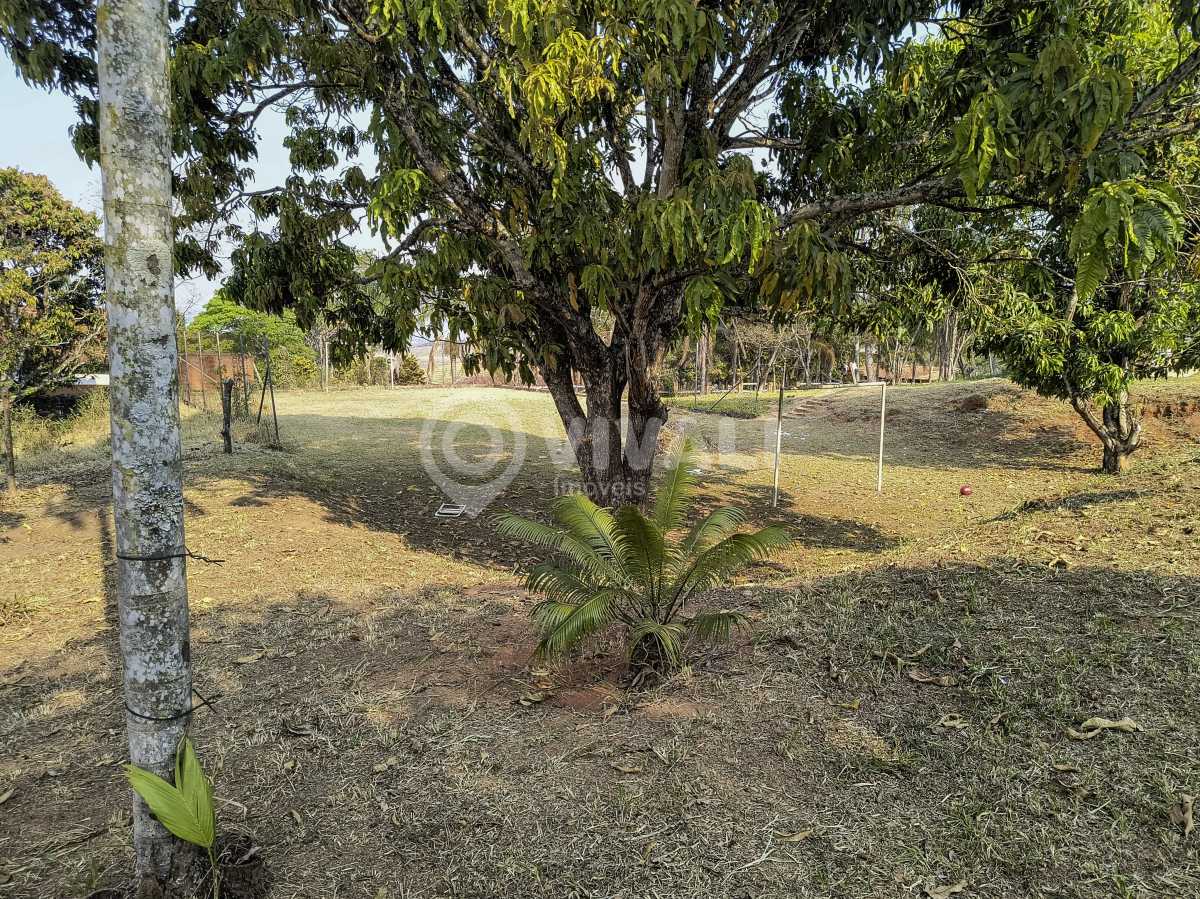 Conheça WhatsApp Image 2024-09-20 at 1 do imóvel - Terreno Residencial à venda Jarinu,SP SÍTIOS PRIMAVERA - R$ 1.300.000 - VITR00768 - 22 WhatsApp Image 2024-09-20 at 1 - 22