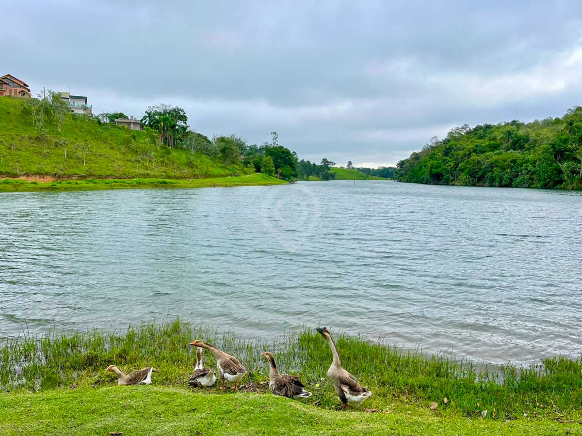 Conheça WhatsApp Image 2024-11-19 at 1 do imóvel - Terreno Residencial à venda em Jacareí,SP Residencial Parque Lago Dourado - VITR00807 - 7 WhatsApp Image 2024-11-19 at 1 - 7