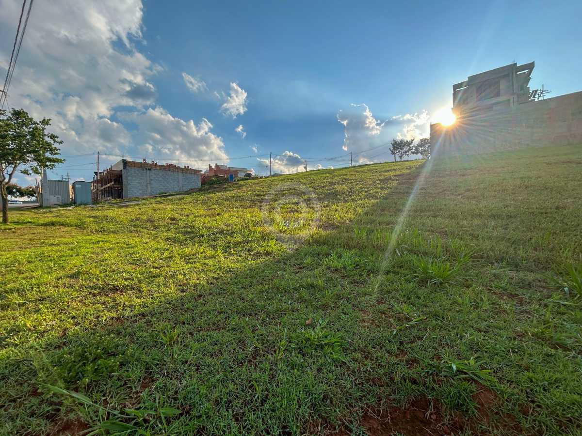 WhatsApp Image 2025-03-25 at 1 - 4