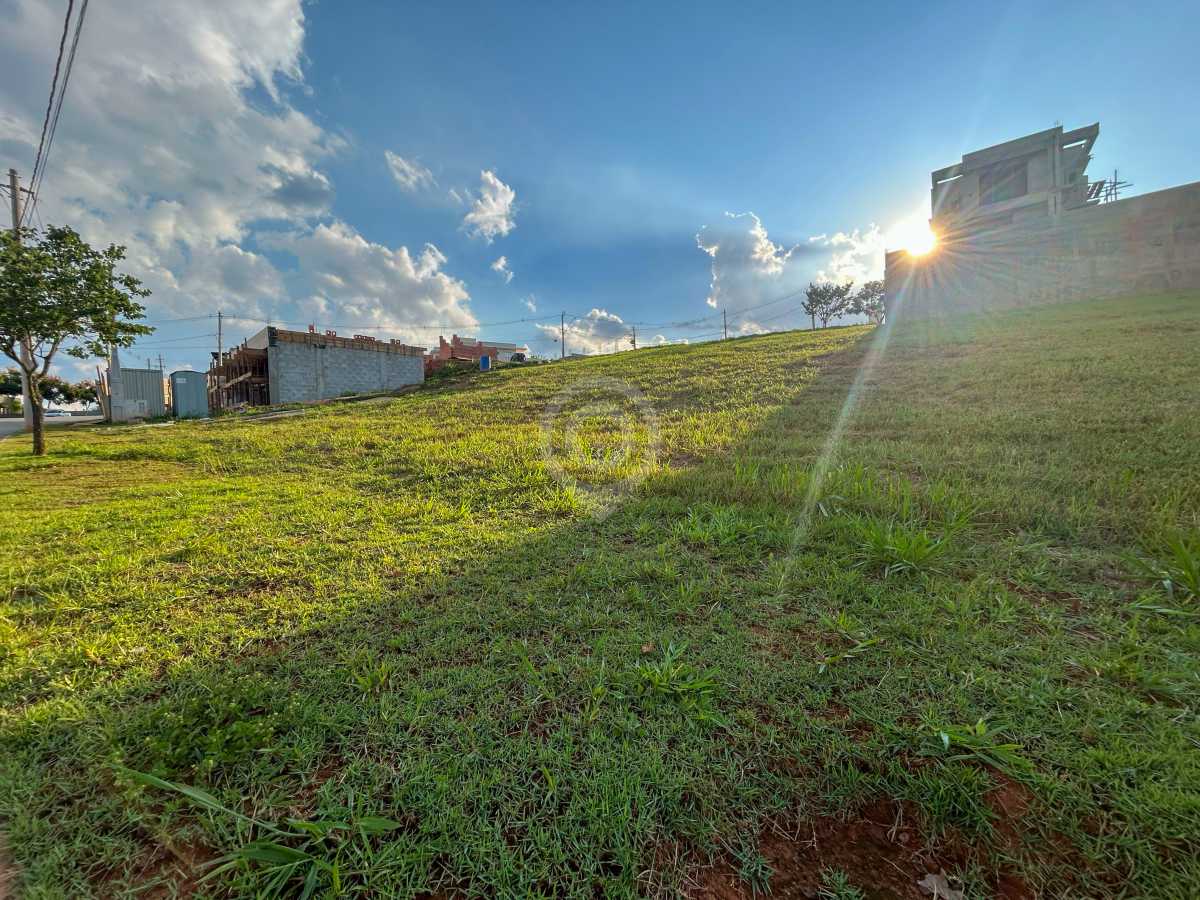 WhatsApp Image 2025-03-25 at 1 - 6