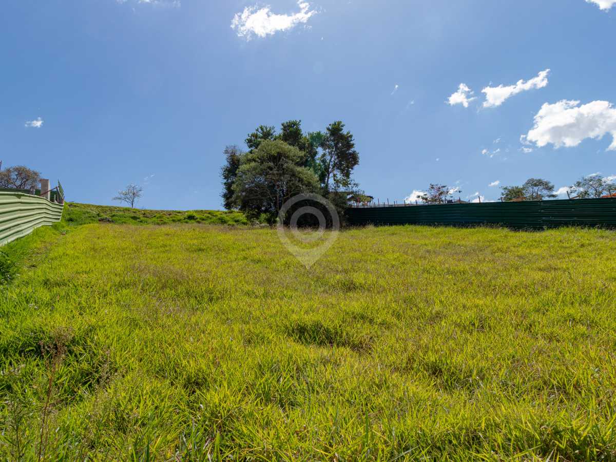 IMG_4461-2 - 12