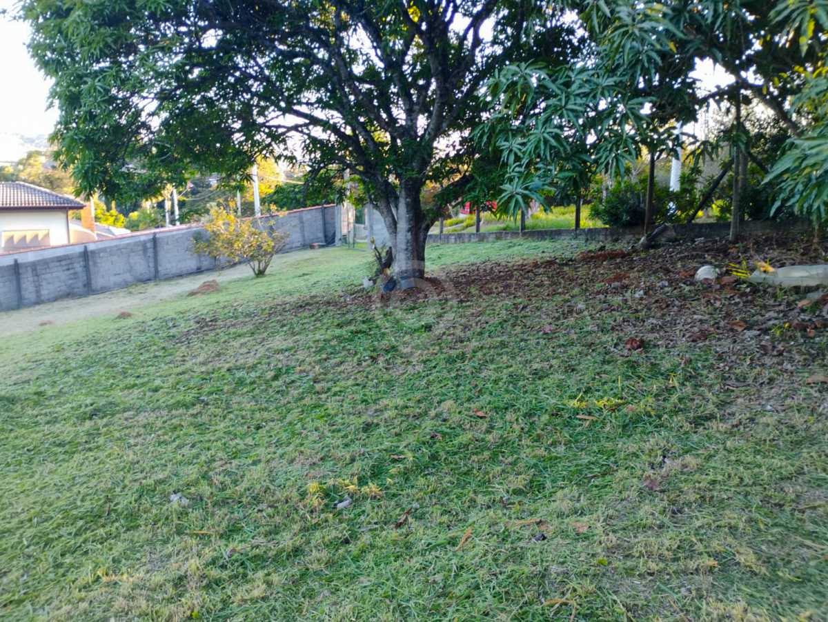 WhatsApp Image 2025-07-10 at 1 - 6