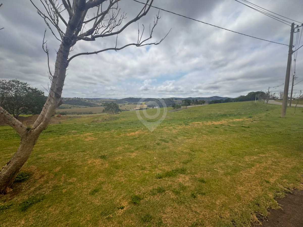 WhatsApp Image 2025-10-08 at 1 - 3