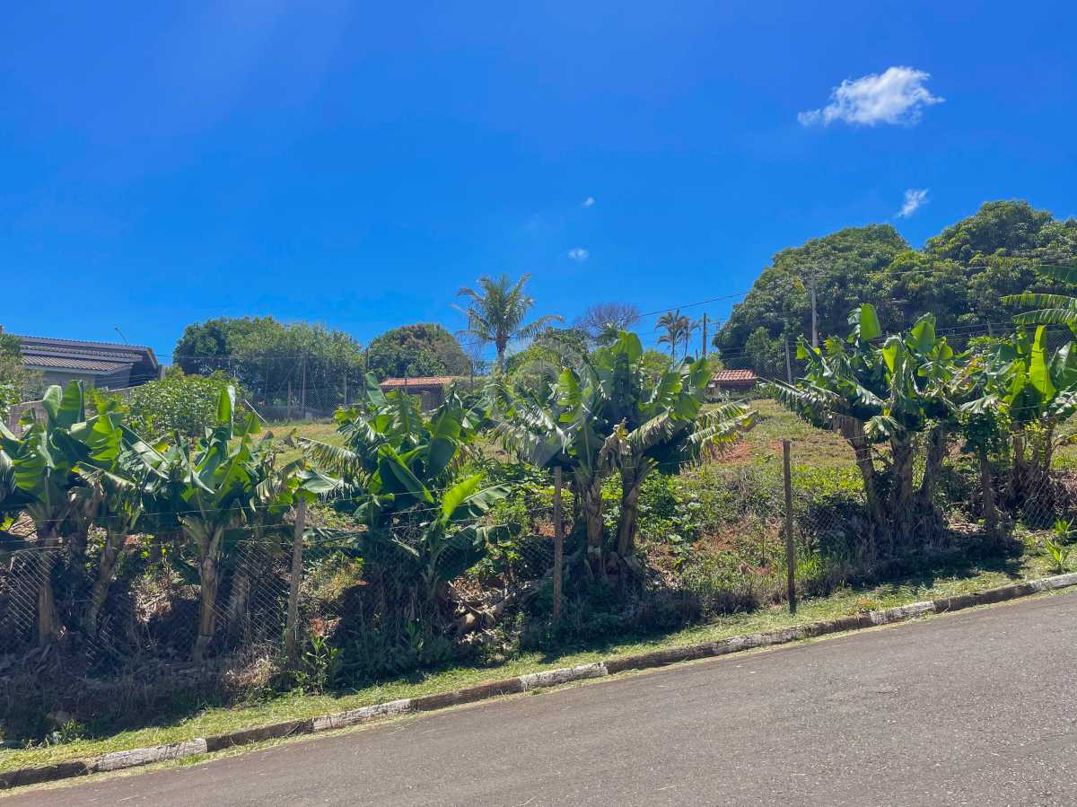 WhatsApp Image 2025-11-24 at 1 - 7