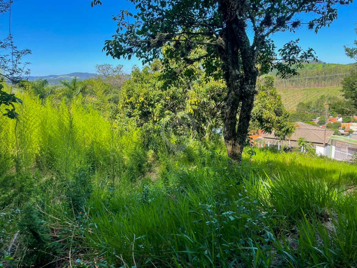 WhatsApp Image 2025-11-28 at 1 - 3