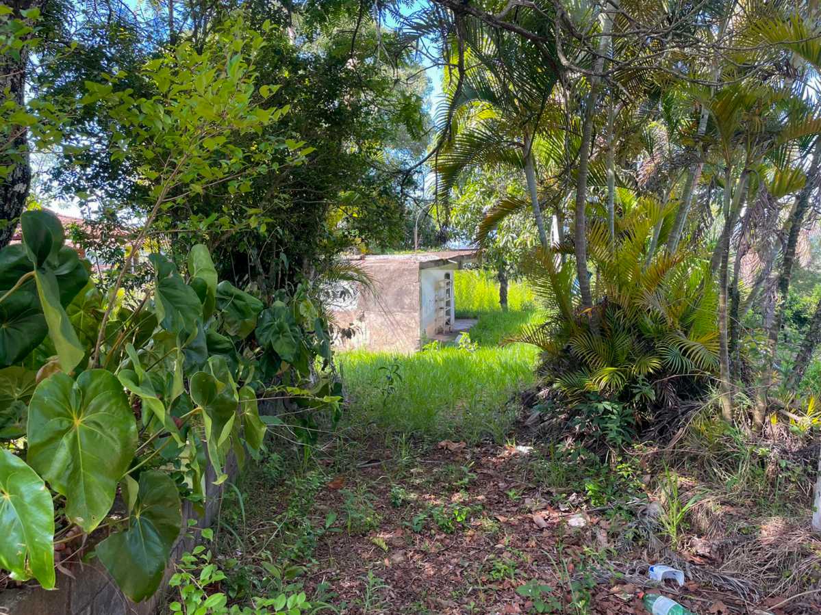 WhatsApp Image 2025-11-28 at 1 - 4